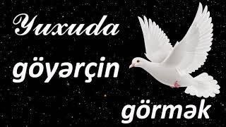 Yuxuda göyərçin görmək  Qısa Yuxuyozma