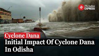 Initial Impact Of Cyclone Dana In Odisha: Trees Uprooted, Roads Blocked Says Fire Dept