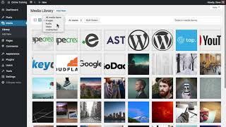 Understanding the WordPress Media Library 