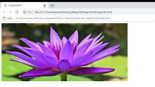 Magnify image with Javascript   Lesson 9