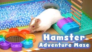 Hamster Adventure: The Ultimate Maze Challenge 2024