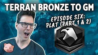 2023 Terran Bronze to GM #6: Platinum League (B2GM) - StarCraft 2