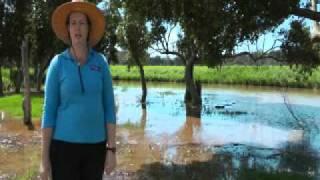 Ironbark Creek Catchment - Ingrid Berthold