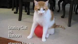 Staticy Cat vs. Balloon