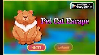 Avm Pet Cat Escape Walkthrough [AvmGames]