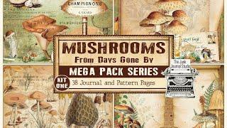 NEW Mushrooms From Days Gone By Kit 1  l  NEW Digital Series  l  Flip Through