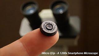 iMicro Q3p: Unveil the Power of a 1200x Fingertip Microscope