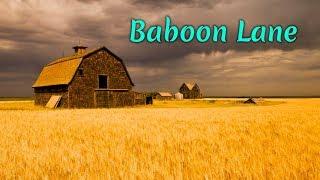 Baboon Lane - Creepypasta