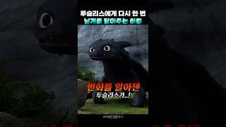 사람들이 잘 모르는 투슬리스와 히컵의 진짜 첫 비행