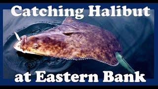 Catching Halibut at Eastern Bank While Salmon Fishing in March