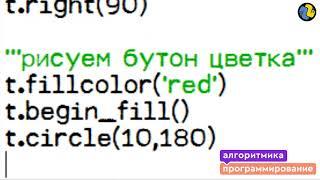 Python для начинающих уроки с нуля за час алгоритмика школа программирование с чего начать для детей