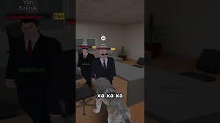 СТАЛ ВОЛКОМ РЕАКЦИИ ИГРОКОВ в AMAZING ONLINE в GTA RP CRMP