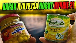 Стоит ли ПЕРЕПЛАЧИВАТЬ за КУКУРУЗУ?! Какая КУКУРУЗА отработает ЛУЧШЕ?! Эксперимент – День 7