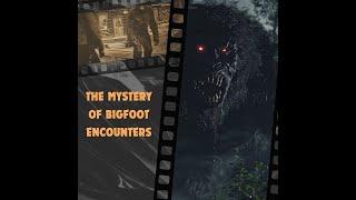 The Mystery of Bigfoot: Historical Accounts & Modern Encounters