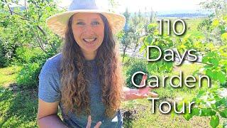 YES, You Can Grow All This in A Short Season! | 110 Frost Free Days Garden Tour