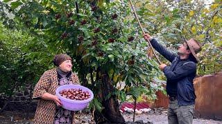 HARVESTING CHESTNUTS ON THE RAINY DAY! A SUCCULENT RECIPE BY GRANNY | MEAT PIE (BOREK) RECIPE