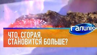 Галилео | Эксперимент  Что, сгорая, становится больше?