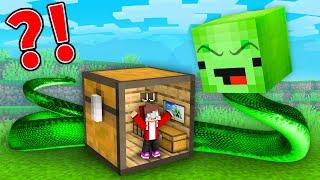 Why Mikey SNAKE Attack JJ Tiny Chest Base in Minecraft ? - Maizen