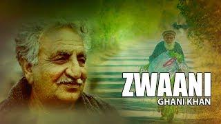 Ghani Khan Ghazal - Na Ba Tool Umar Zwaani We by Moiz Khan