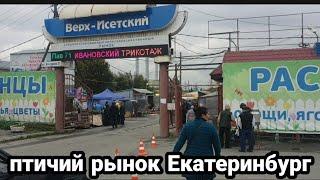 верх-исетский рынок птичий рынок екатеринбург