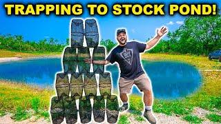 Trapping THOUSANDS of BAITFISH to Stock My BACKYARD Pond!!!