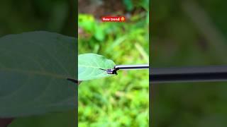 New tranding viral vedio  #newtrend #trending #trendingshorts #shortsfeed