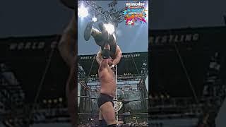 GOLDBERG V STEINER