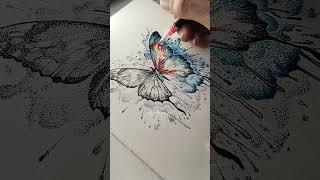 Drawing Butterfly using Stippling Technique with color