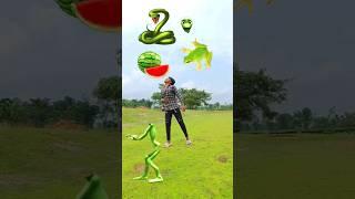 Green Watermelon, frog & snake eating vs green alien making - funny vfx magic video