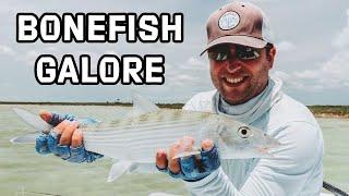 Bonefishing The Bahamas | Swain's Cay Lodge Fly Fishing