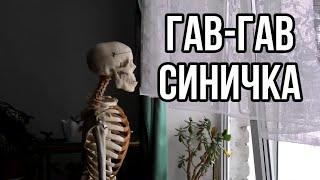 ТОП 10 ПЕСЕН С ГЛУБОКИМ СМЫСЛОМ