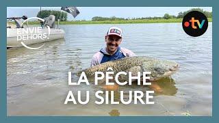 La pêche au silure : une expérience intense