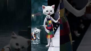 From Struggles to Stardom The  Journey of a Fashionista Kitten #shorts #cat #funny #cute #meowtimetv