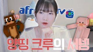 양띵크루의 서넹이 된 썰, 드디어 풉니다.