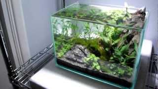 Orphek PR72 LED Light Response Video