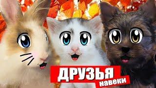 КОТ МАЛЫШ И КОШЕЧКА МУРКА ИГРАЮТ с кроликом БАФФИ МИЛАФИ и щенком ПУПСЕЙ на улице! и СОЧИНЯЮТ ПЕСНЮ