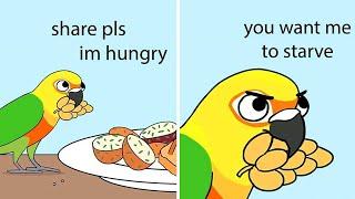 Funny Comics About Parrots Which Illustrated By A Bird Owner