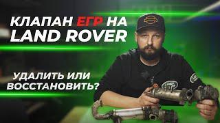 Клапан ЕГР Ленд Ровер | Удалить или восстановить?