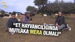 Et Hayvancılığında Mutlaka Mera Olmalı - İşimiz Keçi