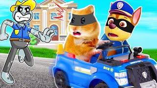 Can Hamster Escapes the Guard?Hamster KombatNew Pets 2024HammyHappyTDC