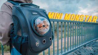 Рюкзак-переноска для кошек Mini Monstar