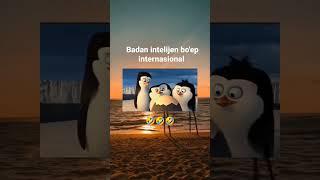 dubbing penguins kocak