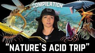 The Paleozoic Era (That We Know Of) Compilation | Lindsay Nikole