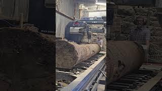 That's one fine Zenz sawmill  #zenz #forestry #forestmachine #sawmill #logger