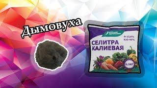 Новая Дымовуха Из Калиевой Селитры