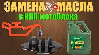 Замена масла в КПП и редукторе мотоблока