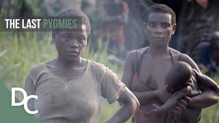 Surviving In The Isolated Rainforest | Extreme Tribe | Part 3 | Documentary Central