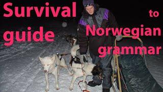 Learn Norwegian: the Grammar Survival Guide (all you need to know)