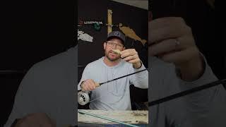 One HUGE Advantage of Fly Fishing Over Spin Fishing