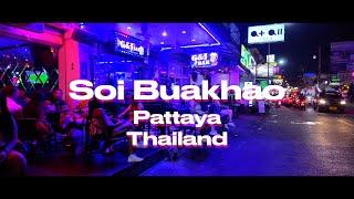 Thailand's bars, neon & nightlife: Walking along Soi Buakhao in Pattaya, 4K